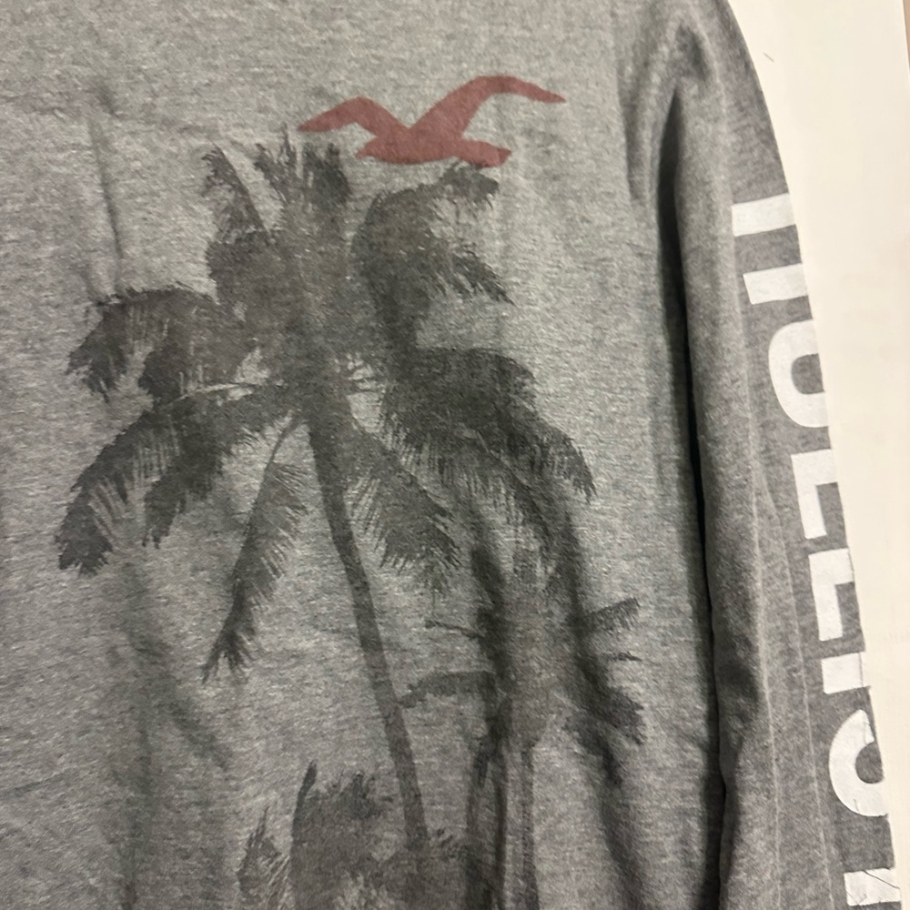 Hollister Gray Long Sleeve Tee with Palm Tree Design - Picture 2 of 4